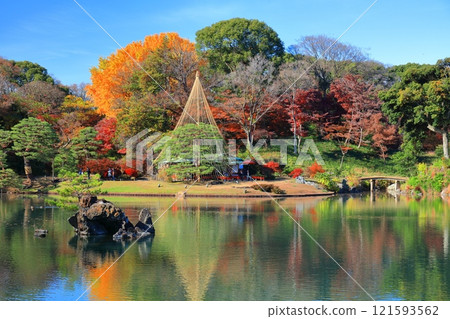 [Tokyo] Symmetrical autumn leaves at Rikugien Garden on a clear day 121593562