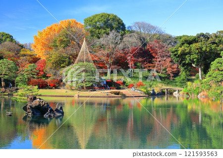 [東京]晴朗的日子裡六義園的對稱秋葉 121593563