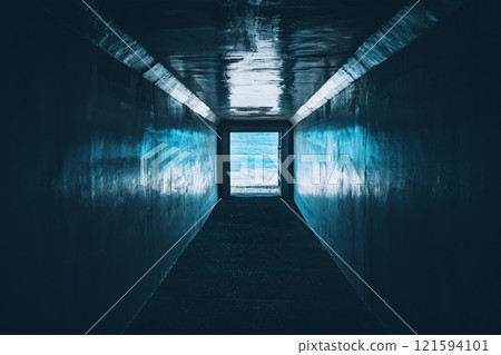 At the end of the dark tunnel you can see the ocean, 121594101