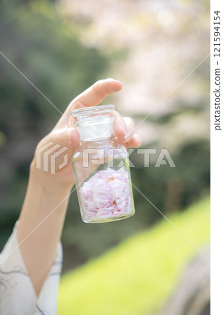 Woman's hand holding a bottle of cherry blossom petals under cherry blossoms Woman's hand holding a bottle of cherry blossom petals under cherry blossoms 121594154
