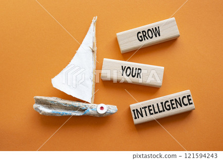 Grow your Intelligence symbol. Concept words Grow your Intelligence on wooden blocks. Beautiful orange background with boat. Business and Grow your Intelligence concept. Copy space 121594243