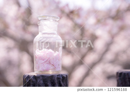 裝滿櫻花花瓣的春天瓶 121596188
