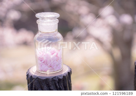 裝滿櫻花花瓣的春天瓶 裝滿櫻花花瓣的春天瓶 121596189
