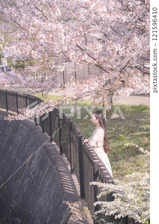 Portrait of a woman enjoying cherry blossom viewing under the cherry blossoms in full bloom Portrait of a woman enjoying cherry blossom viewing under the cherry blossoms in full bloom 121596410