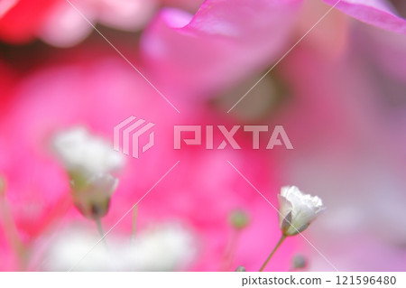 Bouquet Fairy Tale 121596480