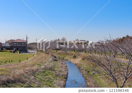 大濠河(千葉縣柏市) 大濠河(千葉縣柏市) 121596546