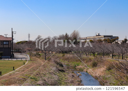 Ohori River (Kashiwa City, Chiba Prefecture) 121596547