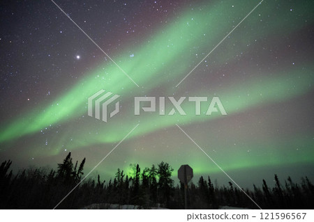 極光火花 14 121596567