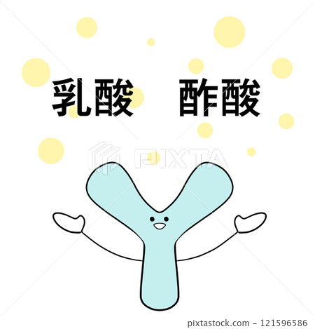 Illustration of bifidobacteria that produce lactic acid and acetic acid 121596586