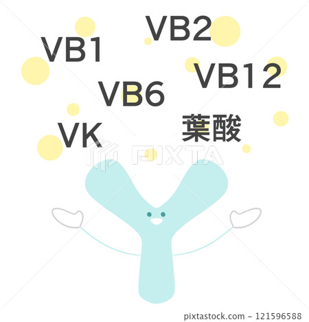 雙歧桿菌合成 B 族維生素和維生素 K 的插圖 雙歧桿菌合成 B 族維生素和維生素 K 的插圖 121596588
