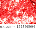 Bright red autumn leaves 121596994