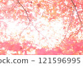 Bright red autumn leaves 121596995
