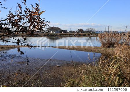 在埼玉縣白岡市的桐山沼澤的風景 121597006