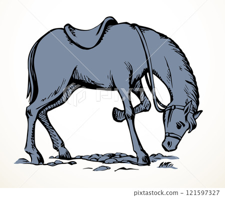 Vector drawing. A horse eating the grass Vector drawing. A horse eating the grass 121597327