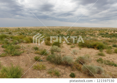 Vast steppe landscape in Kazakhstan under a dramatic cloudy sky during the afternoon Vast steppe landscape in Kazakhstan under a dramatic cloudy sky during the afternoon 121597530