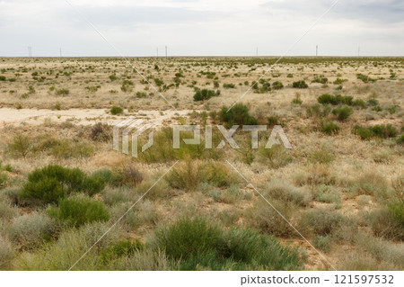 Desert landscape in Kazakhstan features vast shrubs and arid terrain under cloudy sky 121597532