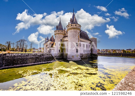 Castle of Sully sur loire near Orleans, Loire valley, France 121598246