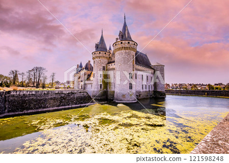 Castle of Sully sur loire near Orleans, Loire valley, France 121598248