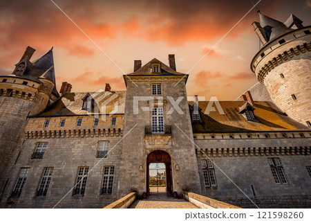 Castle of Sully sur loire near Orleans, Loire valley, France 121598260