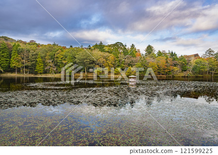 矢波津池(愛知縣)茶臼山高原的秋葉開始變色,藍天白雲倒映在水面上 矢波津池(愛知縣)茶臼山高原的秋葉開始變色,藍天白雲倒映在水面上 121599225