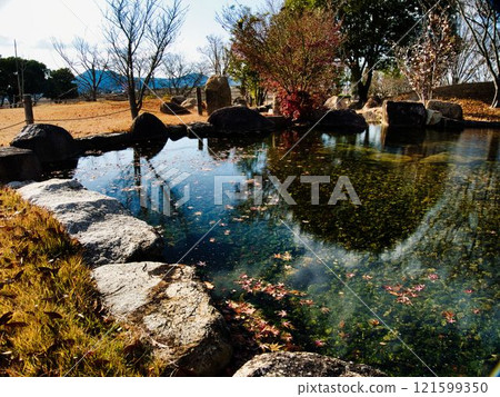 Scenery of deciduous leaves Scenery of deciduous leaves 121599350