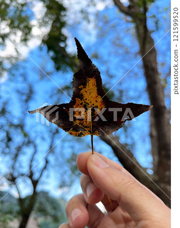 hand holding a vibrant autumn leaf with intricate patterns of yellow and brown decay, set against a blurred background of blue sky and green trees, nature, seasons, and beauty in everyday moments hand holding a vibrant autumn leaf with intricate patterns of yellow and brown decay, set against a blurred background of blue sky and green trees, nature, seasons, and beauty in everyday moments 121599520