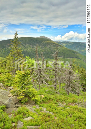 Landscape of the Krkonose Mountains in Czech republic 121599891