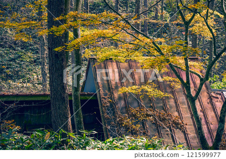 大山深處的深秋景色 大山深處的深秋景色 121599977