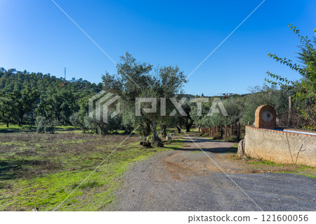 Rural Landscape with Path in Sierra de Aracena, Spain. 121600056