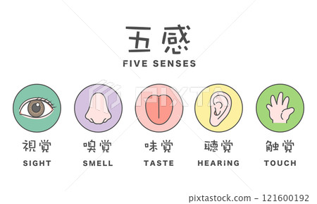 五種感官插圖圖示視覺、嗅覺、味覺、聽覺、觸覺 121600192