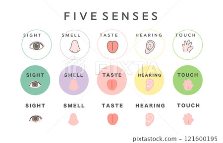 Five senses illustration icon: sight, smell, taste, hearing, touch 121600195
