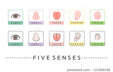 Five senses illustration icon: sight, smell, taste, hearing, touch 121600196