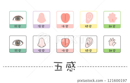 Five senses illustration icon: sight, smell, taste, hearing, touch Five senses illustration icon: sight, smell, taste, hearing, touch 121600197