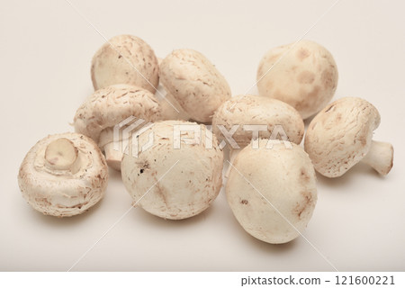 Fresh champignons on a white plate. Mushrooms on a white background. 121600221