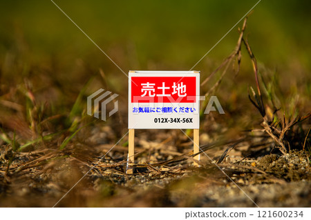 放置在荒地上的待售土地標誌的圖像 121600234