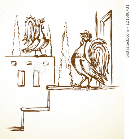 Vector drawing. Singing cock at morning 121600431