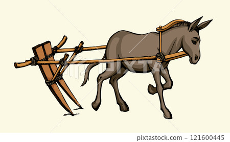 Vector drawing. Cute old mule Vector drawing. Cute old mule 121600445