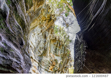 Crack at the top of the cave 121600487