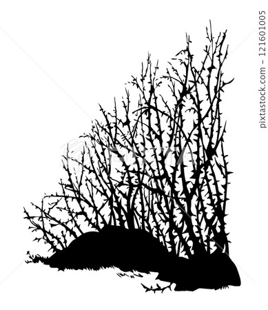 Vector drawing. The thorn bushes Vector drawing. The thorn bushes 121601005