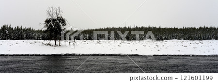 Yellowstone Winter Snow Madison River Yellowstone Winter Snow Madison River 121601199