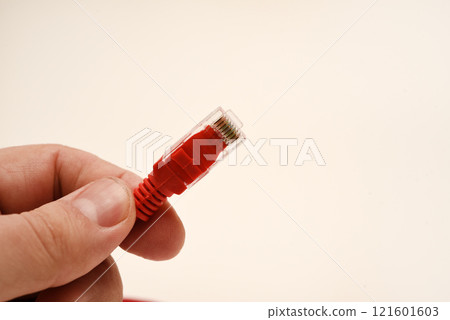 Red internet cable in hand. The RJ-45 connector. 121601603
