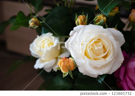 White and yellow roses in a floral arrangement showcasing fresh blooms on a wooden surface in soft natural light 121601732