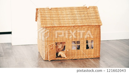 A happy little girl smiles and waves from a generic rustic doll house. Real estate related new home, small house or mortgage concepts 121602043