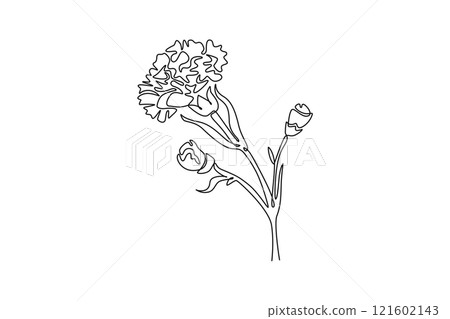 Continuous one line drawing beauty fresh carnation for home art wall decor poster. Printable decorative dianthus flower for greeting card ornament. Single line draw design vector graphic illustration Continuous one line drawing beauty fresh carnation for home art wall decor poster. Printable decorative dianthus flower for greeting card ornament. Single line draw design vector graphic illustration 121602143