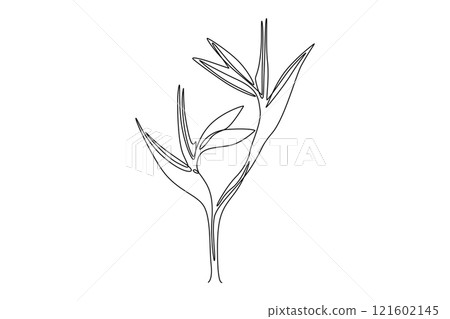 Continuous one line drawing beauty fresh strelitzia for garden logo. Decorative bird paradise flower concept for home wall decor art poster print. Single line draw design vector graphic illustration 121602145