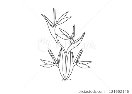 Continuous one line drawing beauty fresh strelitzia for garden logo. Decorative bird of paradise flower concept for home wall decoration art poster. Single line draw design vector graphic illustration Continuous one line drawing beauty fresh strelitzia for garden logo. Decorative bird of paradise flower concept for home wall decoration art poster. Single line draw design vector graphic illustration 121602146