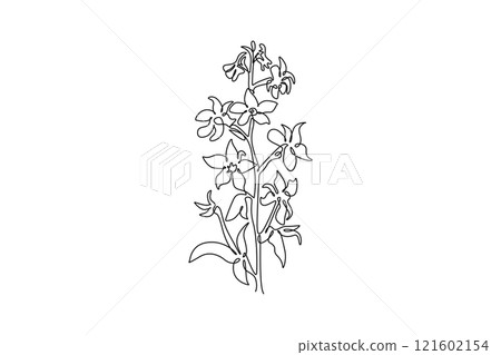 Single continuous line drawing beauty fresh larkspur for home decor wall art print poster. Decorative consolida perennial flower for invitation card. One line draw graphic design vector illustration 121602154