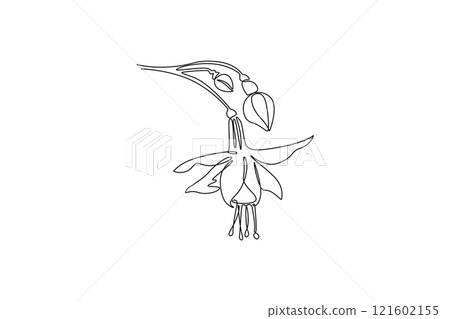 Single continuous line drawing of beauty fresh fuchsia flower for home decor wall art poster print. Decorative shrubs plant for floral invitation card. One line draw graphic design vector illustration Single continuous line drawing of beauty fresh fuchsia flower for home decor wall art poster print. Decorative shrubs plant for floral invitation card. One line draw graphic design vector illustration 121602155