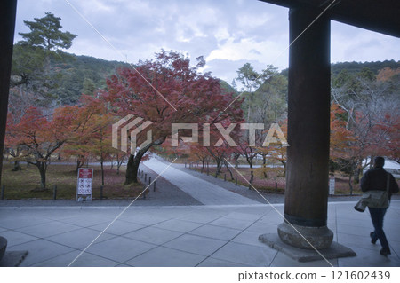 Nanzenji Temple: Bright red maples in the temple grounds as seen from the Sanmon Gate 3 121602439