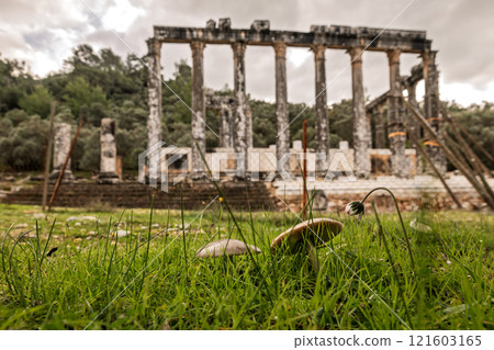 A beautifully preserved temple of Zeus A beautifully preserved temple of Zeus 121603165